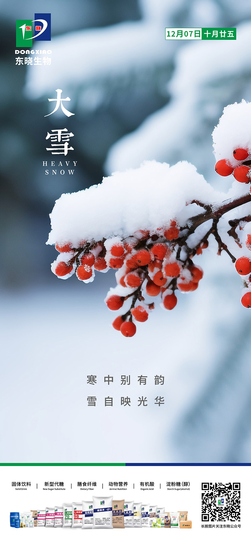 今日大雪 | 寒中别有韵，雪自映光华(图2)